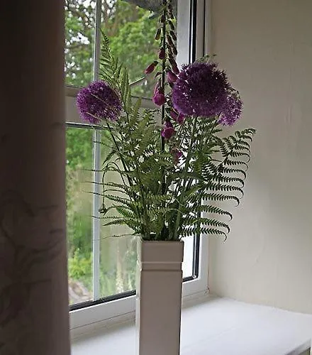 1 Kirkbeck * Coniston