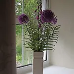 1 Kirkbeck * Coniston